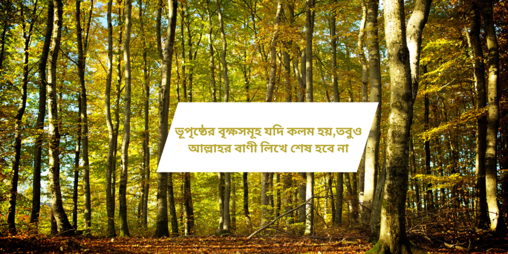 ভূপৃষ্ঠের বৃক্ষসমূহ যদি কলম হয়,তবুও আল্লাহর বাণী লিখে শেষ হবে না