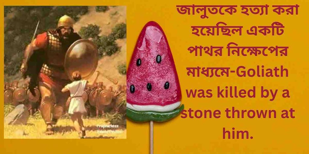 goliath was killed by a stone thrown at him জালুতকে হত্যা করা হয়েছিল একটি পাথর নিক্ষেপের মাধ্যমে