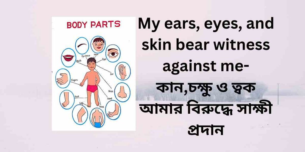 my ears, eyes, and skin bear witness against me,কান,চক্ষু ও ত্বক আমার বিরুদ্ধে সাক্ষী প্রদান