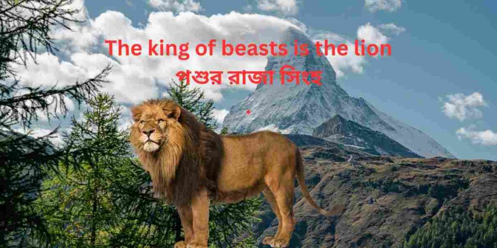 the king of beasts is the lion,পশুর রাজা সিংহ .