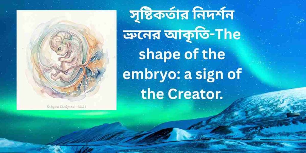 the shape of the embryo a sign of the creator সৃষ্টিকর্তার নিদর্শন ভ্রুনের আকৃতি 