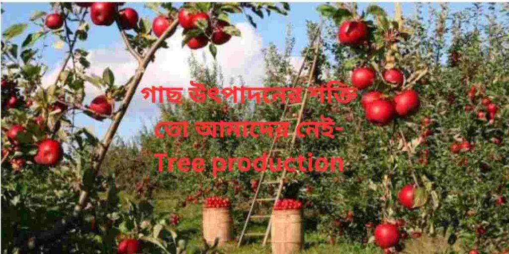 tree production ,গাছ উৎপাদনের শক্তি তো আমাদের নেই,এই সৃষ্টির মধ্যেই তুমি আল্লাহর অস্তিত্ব খুঁজে পাইবে
