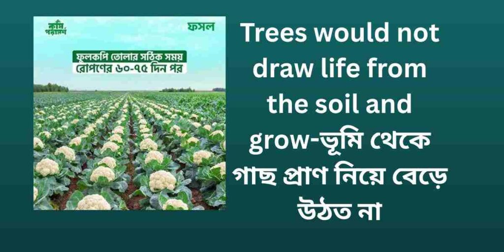 trees would not draw life from the soil and grow ভূমি থেকে গাছ প্রাণ নিয়ে বেড়ে উঠত না