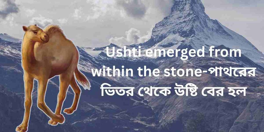Camel emerged from within the stone, পাথরের ভিতর থেকে উষ্টি বের হল,সৃষ্টিকর্তা নিদর্শন দেখালো